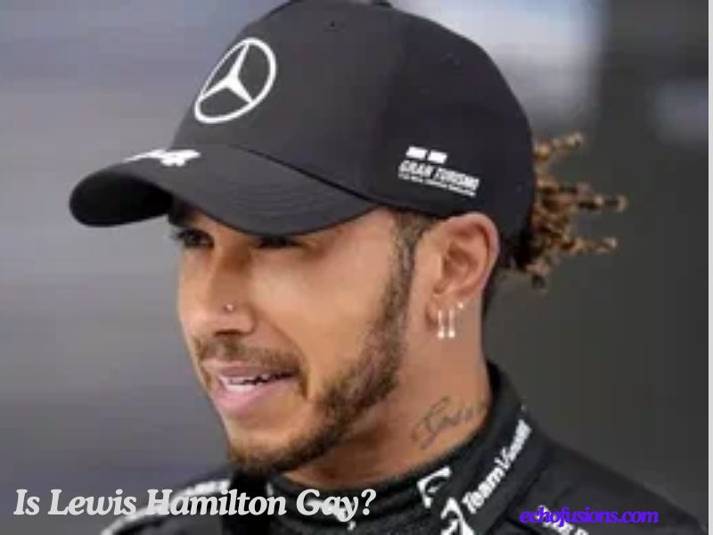 Is Lewis Hamilton Gay?